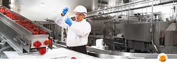 Procesmonitoring en -validatie - Hygienepartner.nl