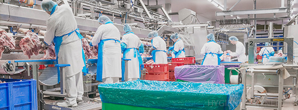 Detecteerbare PBM oplossingen voor medewerkers - Hygienepartner.nl