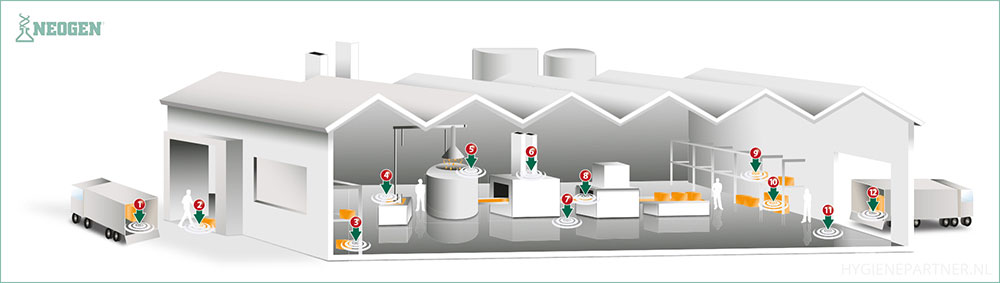 NEOGEN detectie allergenen binnen de voedselketen | Hygienepartner.nl