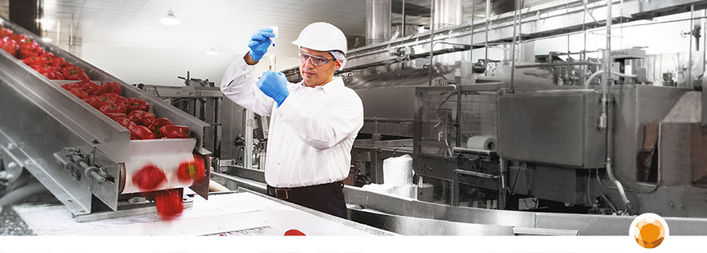 Procesmonitoring en -validatie | Hygienepartner.nl