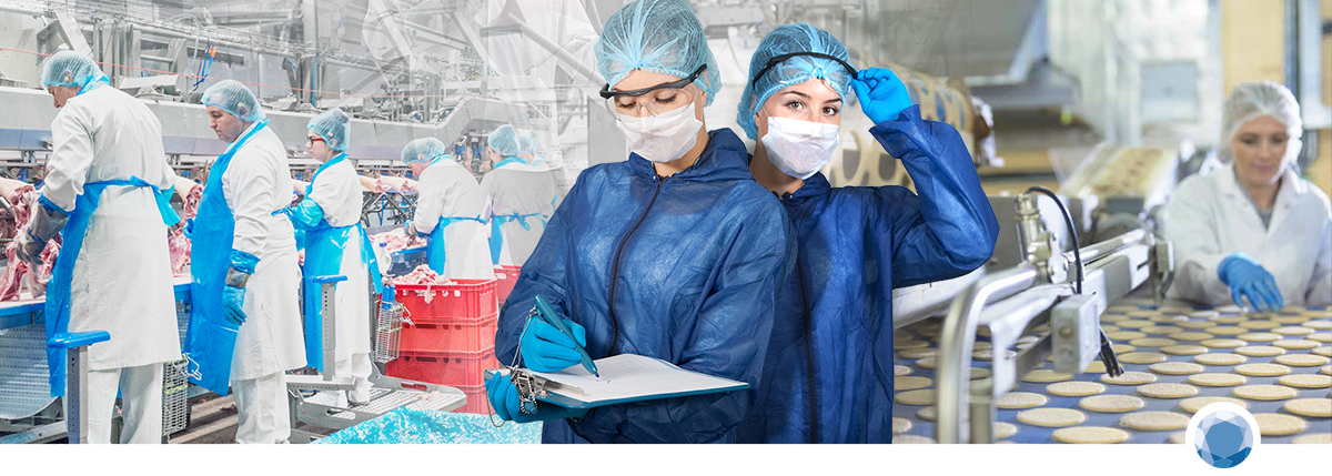 Groothandel in food grade hygiëne disposables - Hygienepartner.nl