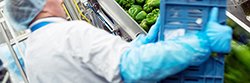 Overmouwen detecteerbaar | Hygienepartner.nl